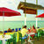 Legends , Negril, Westmoreland, Jamaica - Image 6