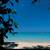 Sunset at the Palms , Negril, Westmoreland, Jamaica - Image 7