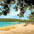 Shaw Park Beach Hotel , Ocho Rios, Jamaica - Image 4