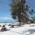 Sentido Neptune Palm Beach Resort , Diani Beach, Mombasa, Kenya - Image 5