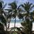 Papillon Lagoon Reef , Diani Beach, Mombasa, Kenya - Image 4