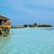 Vilamendhoo Island Resort & Spa , South Ari Atoll, Ari Atoll, Maldives - Image 3