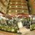 Plaza Hotel & Apartments and Plaza Regency , Sliema, Malta - Image 3