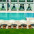 Hotel Sentido Tara , Budva, Montenegro Coast, Montenegro - Image 2