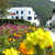 Hotel & Apartments Alexander , Budva, Montenegro Beaches, Montenegro - Image 3