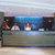 Royal Orchid , Canico, Madeira, Portugal - Image 10