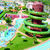 Aqua Show Park Hotel , Quarteira, Algarve, Portugal - Image 4