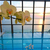 Grand Hotel Bernardin , Portoroz, Slovenia Beaches, Slovenia - Image 8
