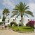 Aparthotel Ferrera Blanca , Cala d'Or, Majorca, Balearic Islands - Image 11