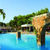 Ola Es Ravells D'or Apartments , Cala d'Or, Majorca, Balearic Islands - Image 1