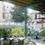 Safari Apartments , Calella, Costa Brava, Spain - Image 2