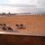 Fuerteventura Beach Club , Caleta De Fuste, Fuerteventura, Canary Islands - Image 8
