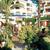 Parque Santiago 3 & 4 , Tenerife, Canary Islands - Image 4