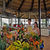 Iberostar Papagayo Hotel , Playa Blanca, Lanzarote, Canary Islands - Image 11