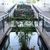 Green Field Aparthotel , Playa del Ingles, Gran Canaria, Canary Islands - Image 11