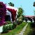 Bungalows Miraflor Park , Playa del Ingles, Gran Canaria, Canary Islands - Image 2