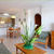 Las Velas Apartments , Pollensa, Majorca, Balearic Islands - Image 3