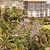 Miramar Hotel , Puerto de la Cruz, Tenerife, Canary Islands - Image 5