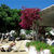 Hotel La Geria , Puerto del Carmen, Lanzarote, Canary Islands - Image 10