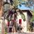 Costa D'Or Hotel , Rural Mallorca, Majorca, Balearic Islands - Image 2