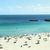 Playa Moreia , S'Illot, Majorca, Balearic Islands - Image 21