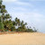 Tangerine Beach , Kalutara, Sri Lanka - Image 8