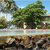 Villa Ocean View , Wadduwa, Sri Lanka - Image 4