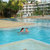 Villa Ocean View , Wadduwa, Sri Lanka - Image 6