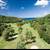 Sandals La Toc Golf Resort & Spa , Castries, St Lucia - Image 4