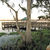 Blue Heron Beach Resort , Lake Buena Vista, Florida, USA - Image 5