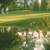 Orlando World Center Marriott Resort , Lake Buena Vista, Florida, USA - Image 12