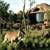 Disney's Animal Kingdom Lodge , Walt Disney World, Florida, USA - Image 10